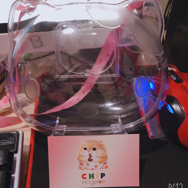 Lồng vận chuyển Kitty