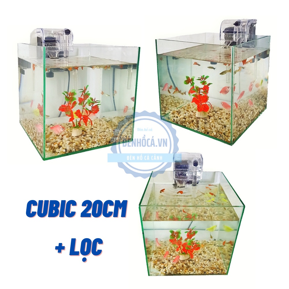Bể cá mini cubic 15 - 20 - 25 cm dành cho nuôi cá cảnh hoặc thủy sinh