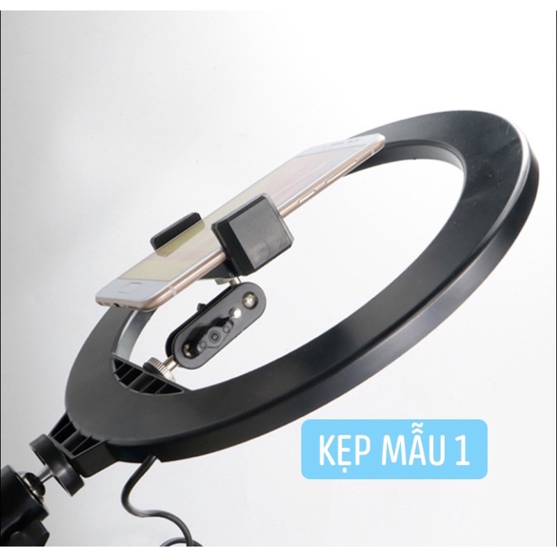 Bộ Đèn TIANRUI LED Ringlight Chụp Ảnh,Quay Phim Sản Phẩm