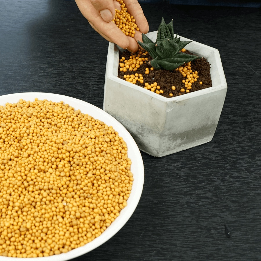 Phân vàng tan chậm Osmocote nhập khẩu Hà Lan , dùng cho mọi loại cây trồng