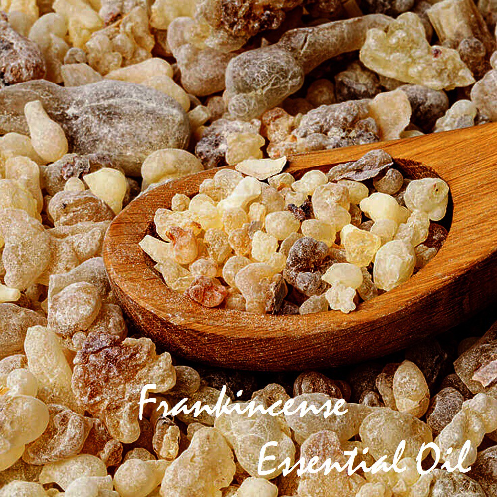 Tinh dầu nhũ hương Serrata Frankincense Essential Oil (Indian Olibanum)