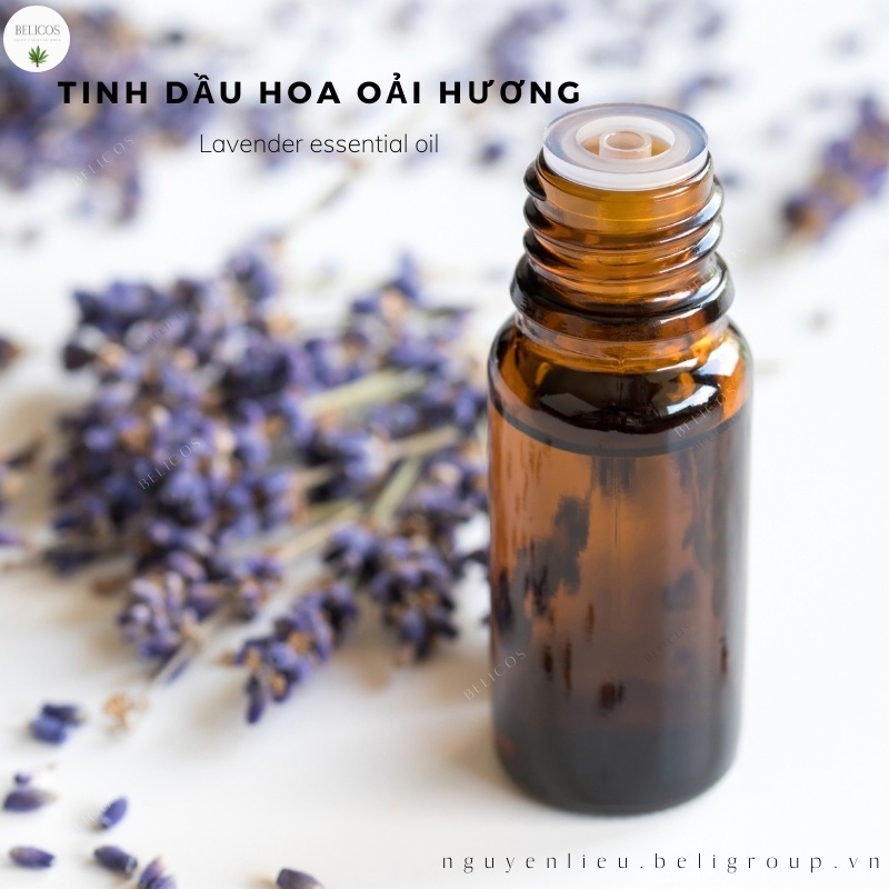 Tinh dầu hoa Lavender 30ml - Oải Hương nguyên chất làm nến thơm thiên nhiên, mỹ phẩm, nước hoa