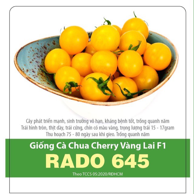 Hạt Giống Cà Chua Cherry Vàng Lai f1 Rado 645, sinh Trưởng Vô Hạn, Trồng Quanh Năm