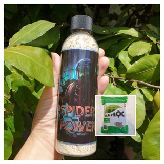 Combo 6 MÓN gồm : 1 chai Bột Tơ Nhện + 5 gói Mồi câu Mộc xanh hoặc Mộc đỏ