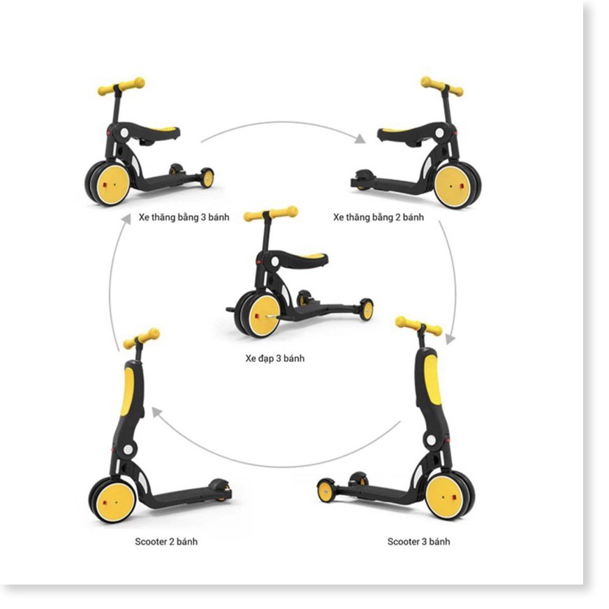 Xe trượt 5 trong 1 Scooter Lecoco  cho bé vận động-TTHome