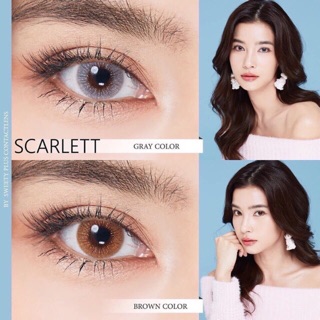 Lens nâu- lens kanok brown nhỏ siêu tự nhiên. Lens gray