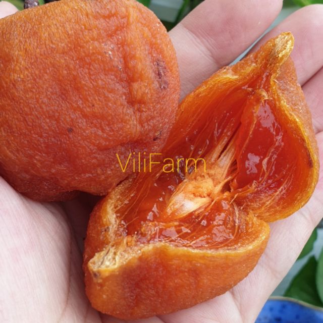 🍑🍑HỒNG TRỨNG LỚN KHÔNG HẠT SẤY GIÓ