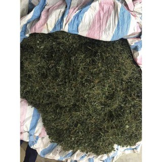 Giảo Cổ Lam 5 lá Hoà Bình 1kg
