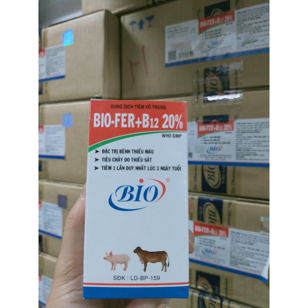 [ Hàng Chính Hãng] Bio Fer B12 20% 20ml tiêm 1 lần duy nhất