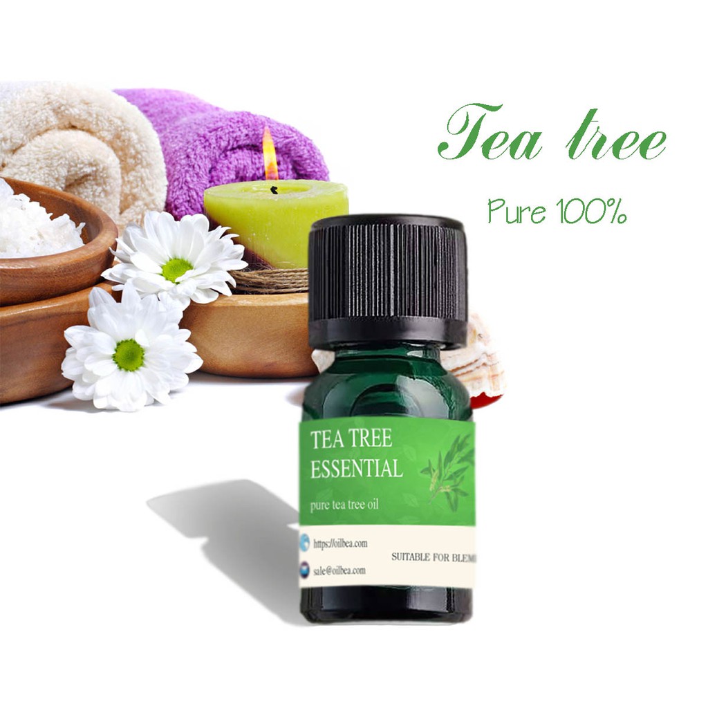 Tinh dầu tràm trà nguyên chất - tea tree oil