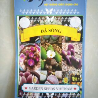 Hạt giống đá sống mix