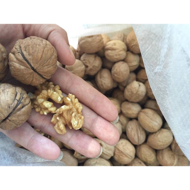 Combo 5Kg óc chó loại ngon