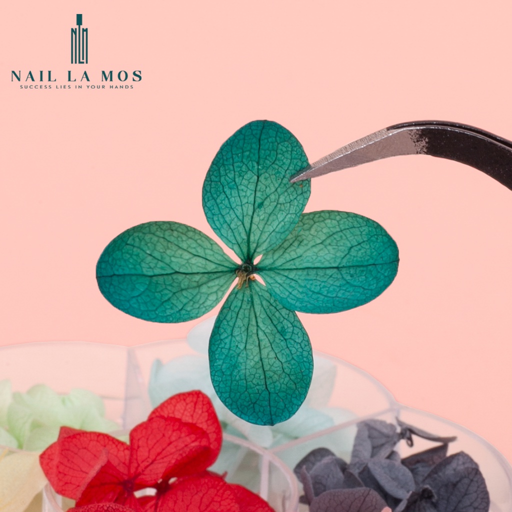 Hoa khô trang trí móng tay - Set 7 màu hoa khô nail, cánh hoa to và mỏng đắp ẩn theo phong cách Hàn Nhật