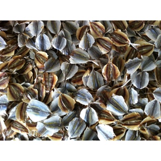 Cá chỉ vàng đảo Phú Qúy - 500g