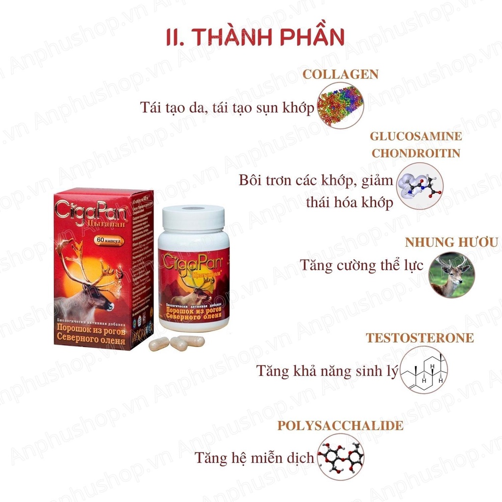 Viên uống nhung hươu Cigapan Nga hộp 60 viên, hỗ trợ sức khỏe, tăng cường sinh lý - Sản phẩm chính hãng