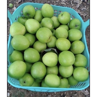 Táo xanh Phan Rang 1kg