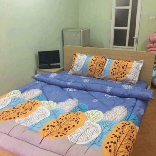 Vỏ chăn lồng ruột hình lá cọ