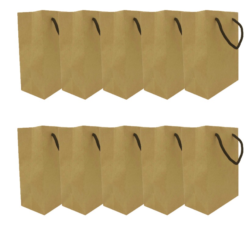 Túi giấy Kraft trơn size trung, túi đứng - Phụ kiện Halu