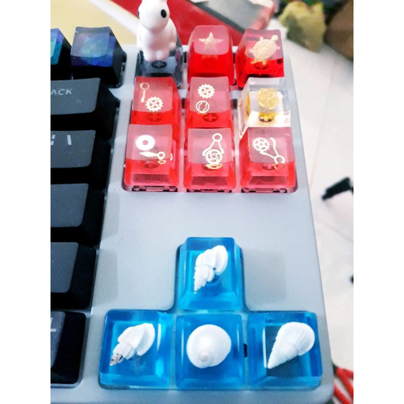 Keycap vổ ốc trang trí bàn phím cơ Cherry, OEM