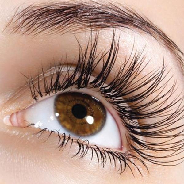 Bấm Mi Vacosi Eyelash Curler (Cán Tím)