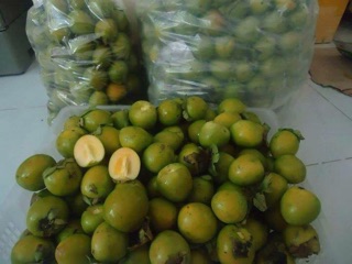 Hồng giòn Đà Lạt