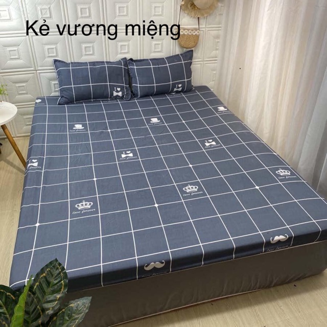 [Giá hủy diệt] Bộ ga vỏ gối cotton poly (1 grap giường + 2 vỏ gối nằm) | BigBuy360 - bigbuy360.vn