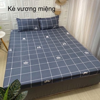 [Giá hủy diệt] Bộ ga vỏ gối cotton poly (1 grap giường + 2 vỏ gối nằm)