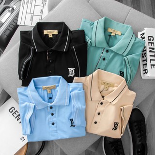 Áo thun Polo BBR Burberry Season 2021
