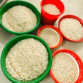 Đác tươi 1kg tại hà nội