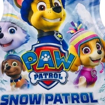 Quần áo trẻ em In 3D sát nách Hoạt Hình Paw Patrow Cho Bé Trai và Bé Gái Size 10-60kg từ 3-12 tuổi Kunkun Kid BL265