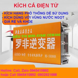 Bộ kích băm xung điện tử BS 58000 - BS58000