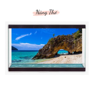 DECAL DÁN HỒ CÁ_THIÊT KẾ NÀNG THƠ