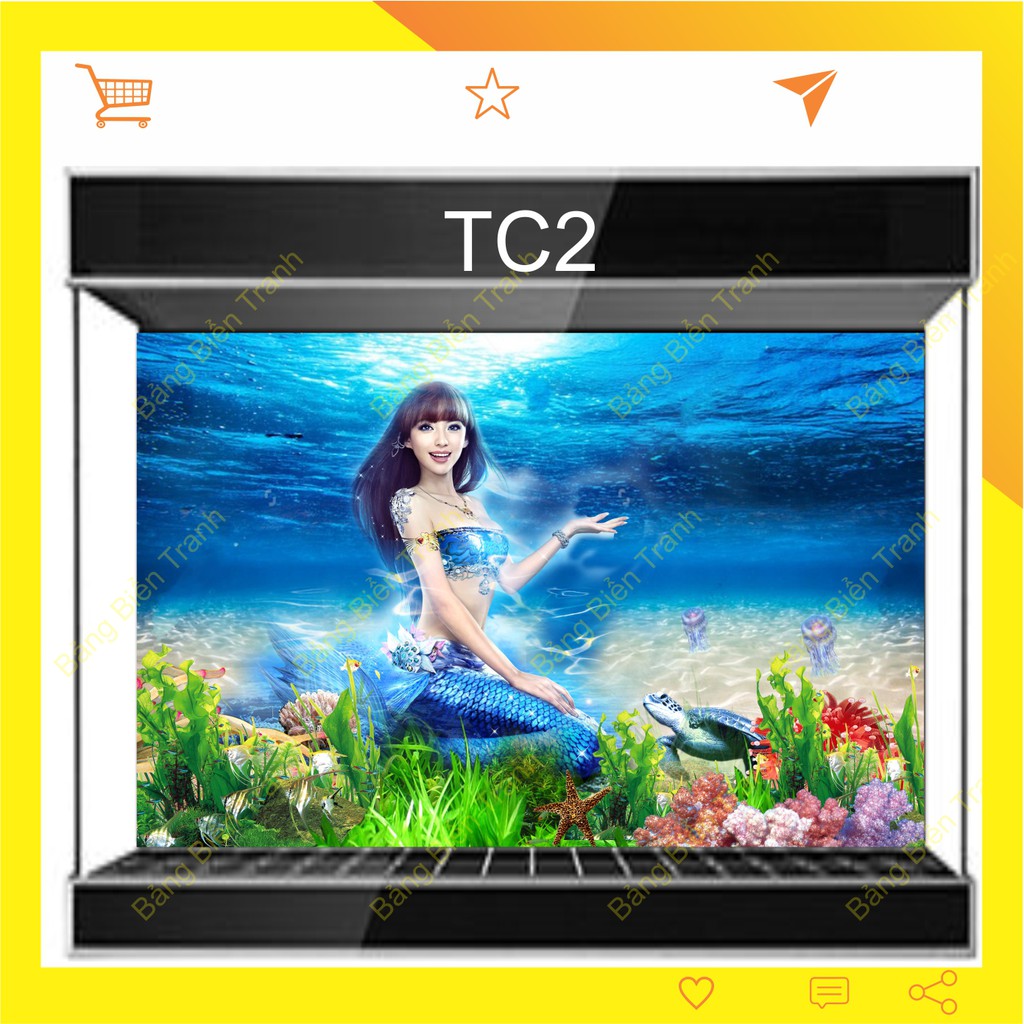 Tranh 3D dán bể cá mẫu tiên cá TC2