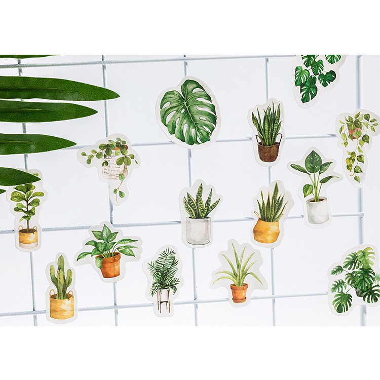Hộp 45 Miếng Dán Trang Trí Hình Cây Lá Màu Xanh Của Cuộc Sống Xinh Xắn-M07