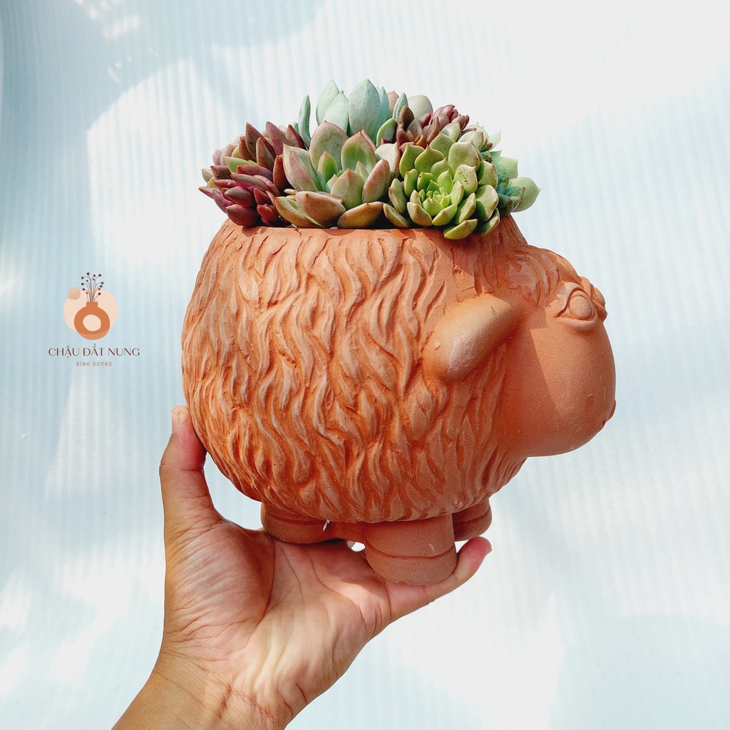 Chậu đất nung, Chậu sen đá - Cừu Mập Heo, miệng chậu 12cm, chiều cao 17cm