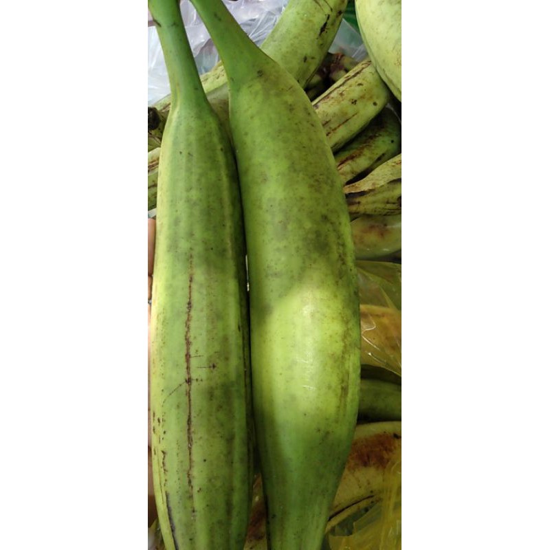 Chuối Tá Quạ trái to đặc biệt | BigBuy360 - bigbuy360.vn