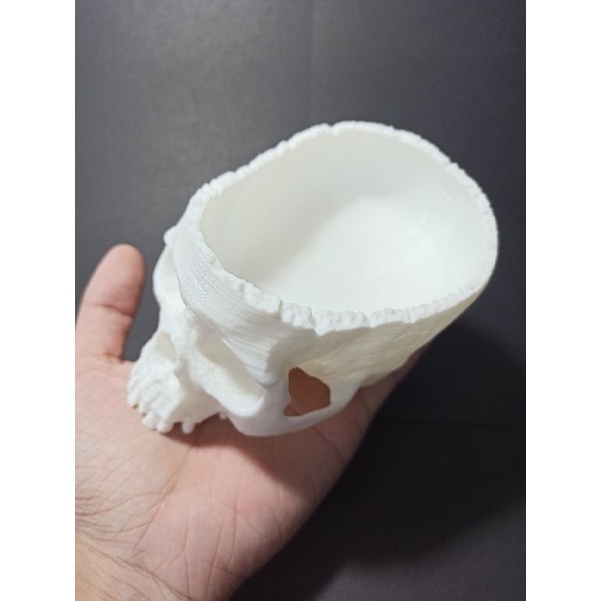 Mô hình đầu lâu dạng lõm, tô đầu lâu trang trí kinh dị, halloween dài 13cm