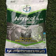 Thuốc trừ bệnh Antracol 70WP - Gói 100g