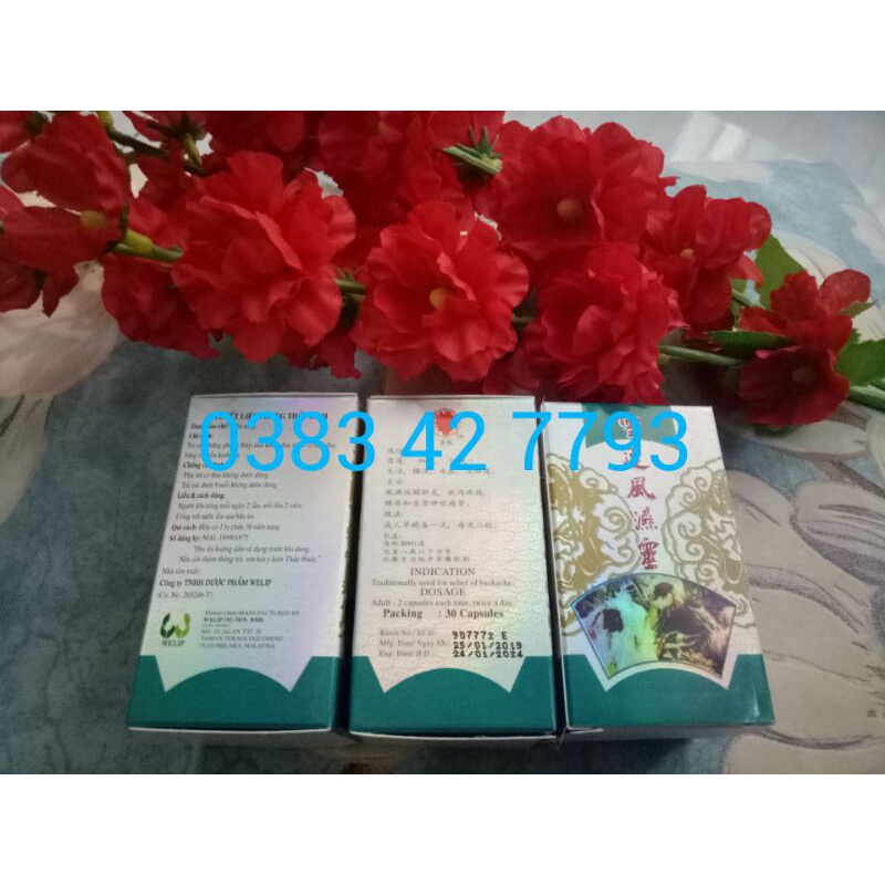 TUYẾT LIÊN PHONG THẤP LINH PLUS MALAYSIA