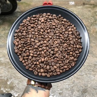 1KG CAFE ROBUSTA HONEY THƯỢNG HẠNG