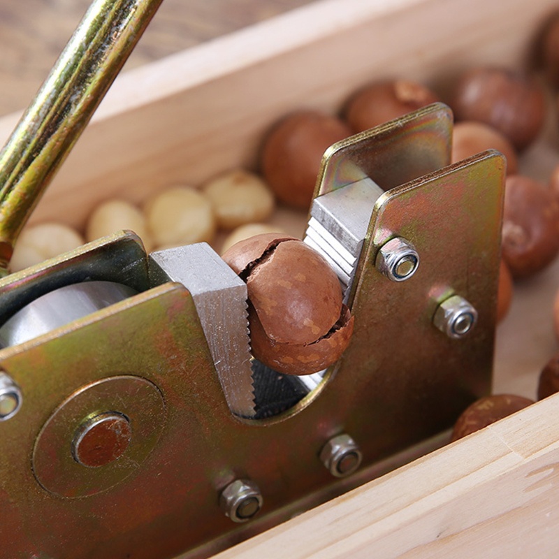 Dụng Cụ Mở Hạt Bằng Pecan Đa Năng Tiện Dụng
