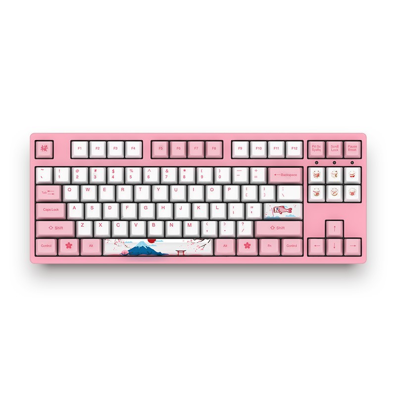 Bàn phím Akko World Tour - Tokyo 3087 (AKKO SWITCH V2) - Cổng USB