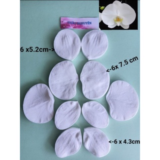 Gân silicon hoa lan hồ điệp