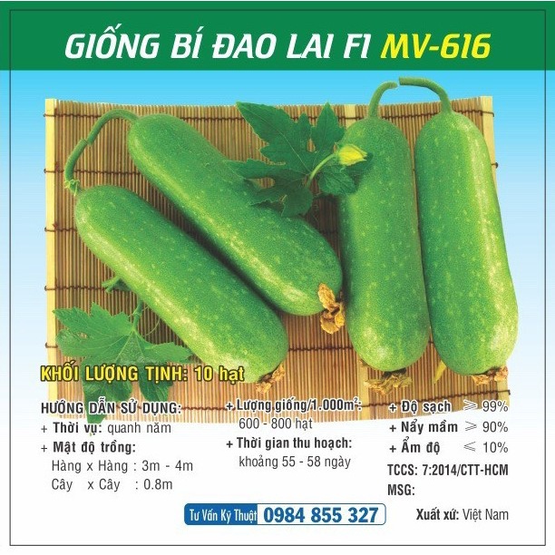Hạt giống Bí Đao lai F1 MV - 616