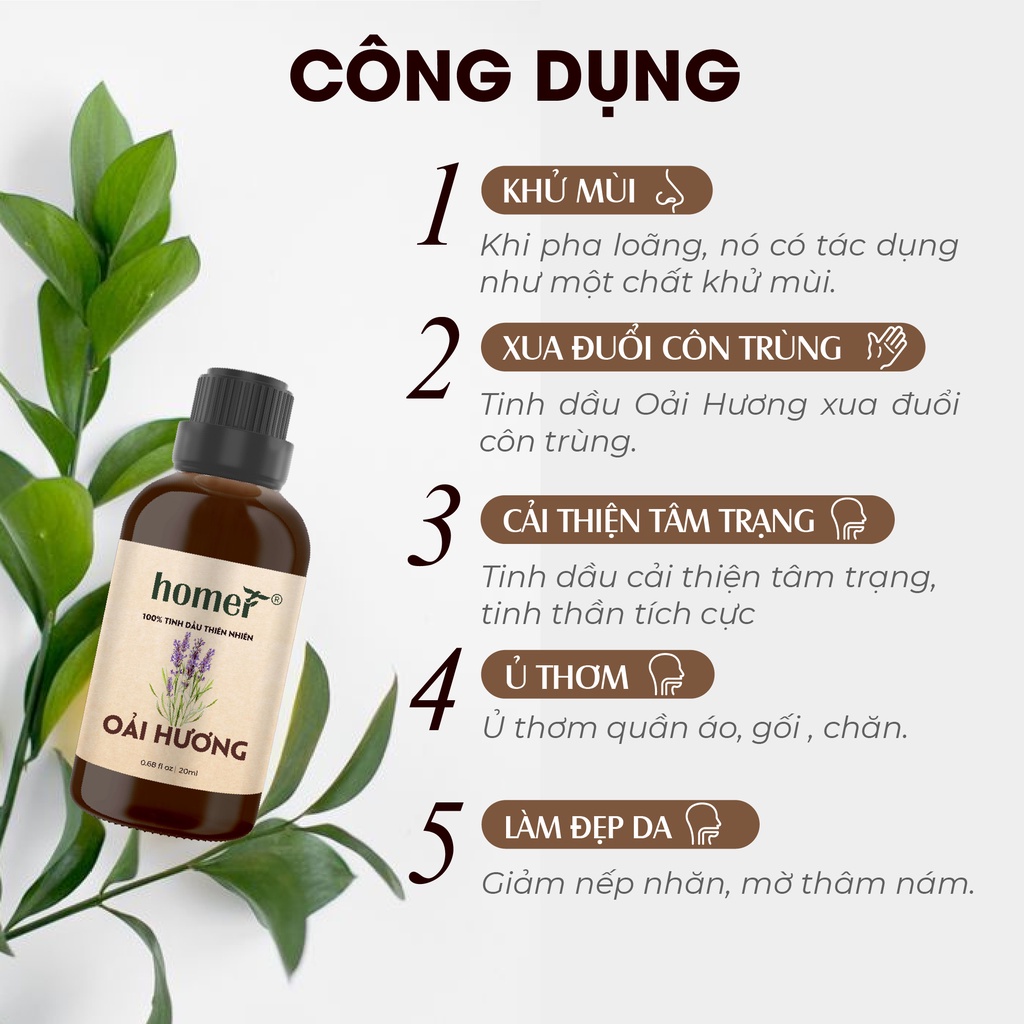 Combo 2 tinh dầu Oải Hương + Hoa Hồng Homer 20ml/chai