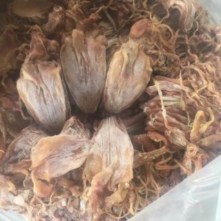 25 con MỰC câu mini