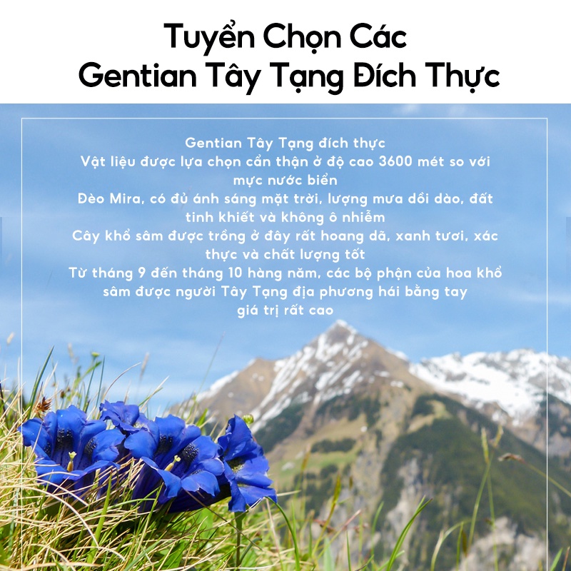INOHERB Serum dưỡng môi  phục hồi bảo vệ chăm sóc da môi hiệu quả