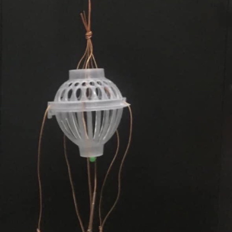 Lồng Câu Cá Mè