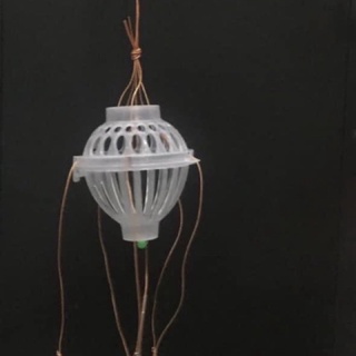 Lồng câu cá mè