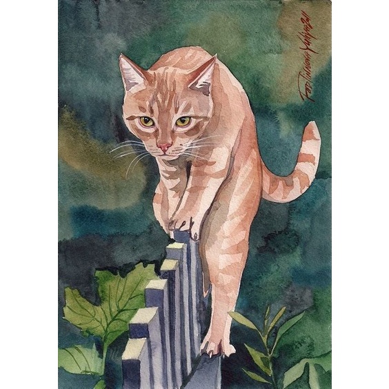 Bộ tranh đính đá 5D họa tiết chú mèo độc đáo kích thước 30x40cm DIY dùng trang trí